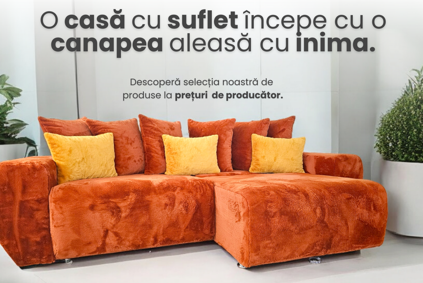 Casa Darius, mobilier tapițat românesc creat pentru confort și stil Casa Darius, mobilier tapițat românesc creat pentru confort și stil