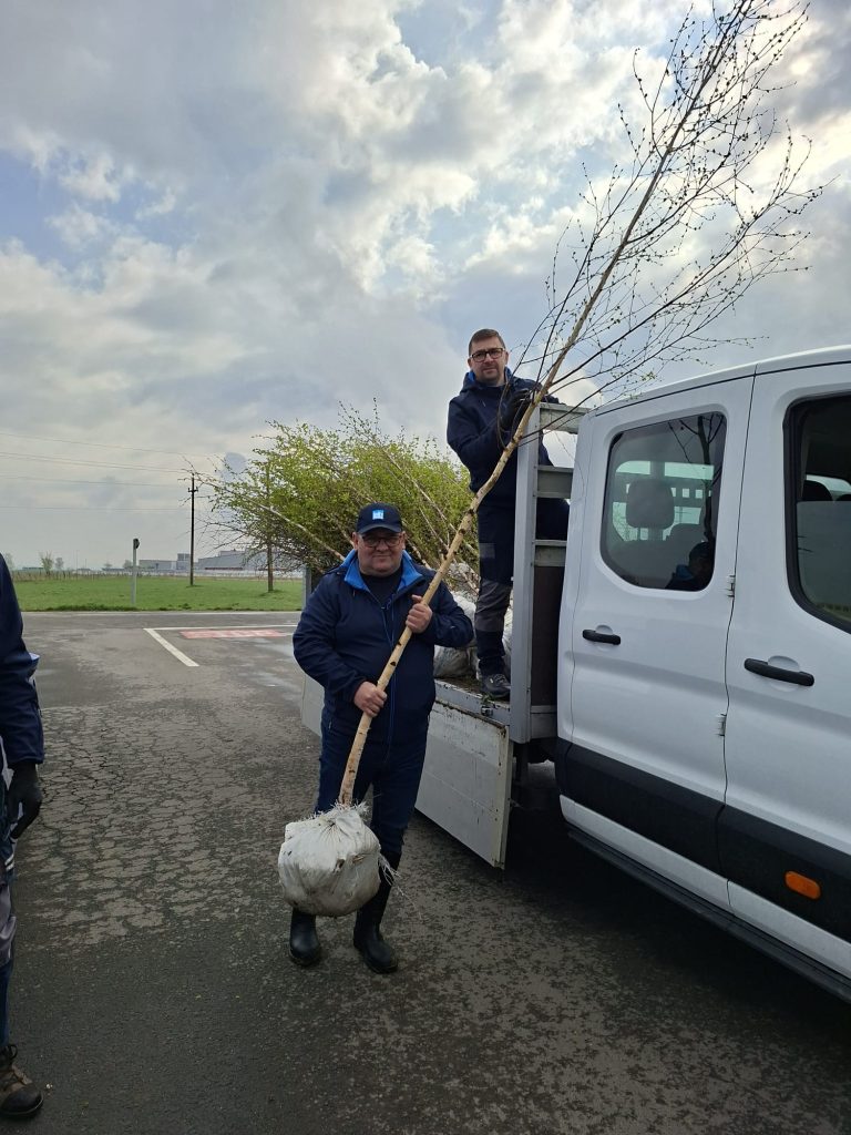 Dezvoltare prin responsabilitate – WeCare 2026 Dezvoltare prin responsabilitate – WeCare 2026