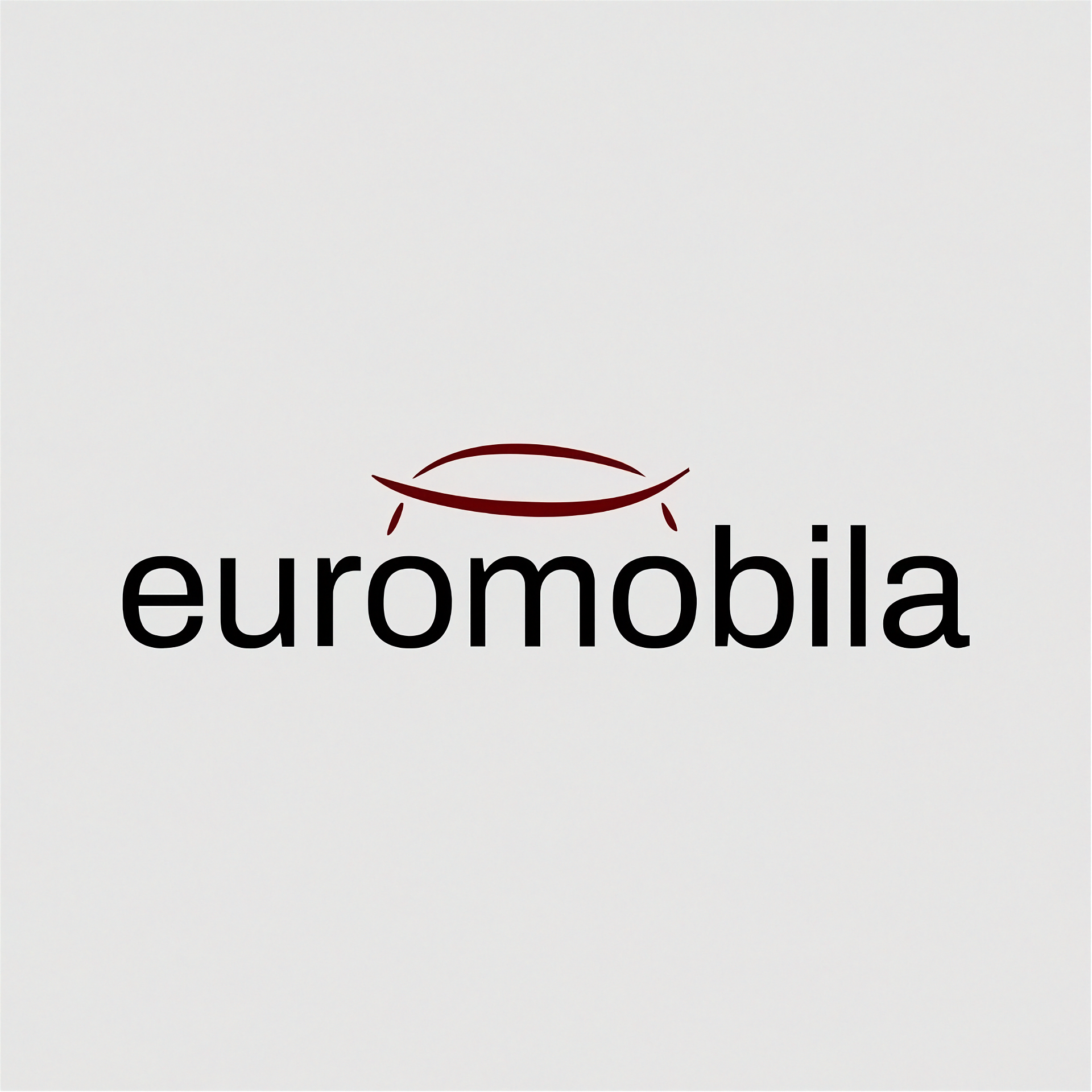 Euromobila: de la un atelier de 100 mp la unul dintre cei mai importanți producători români de mobilier tapițat